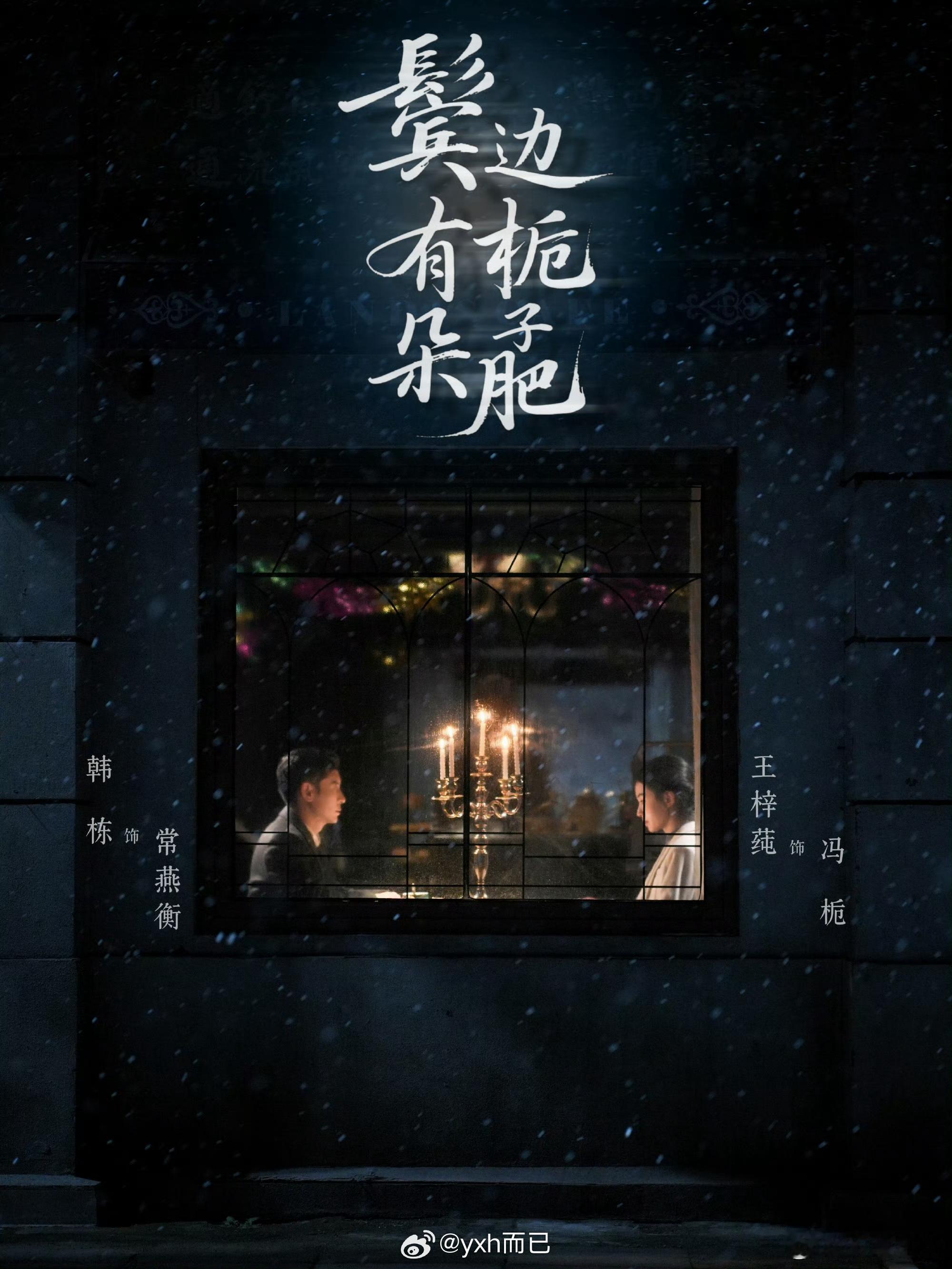 两本大姑娘的po文男主都是韩栋，我觉得应该是鬓边有朵栀子肥播得更好 小说更好看 