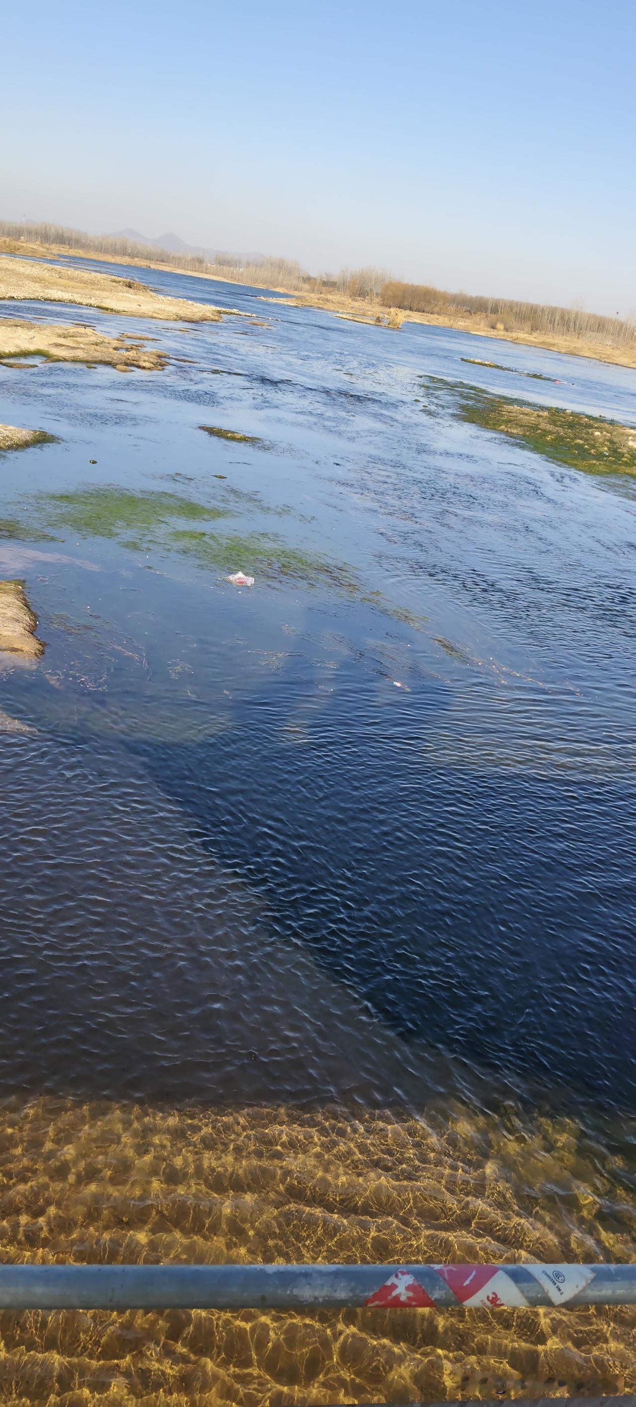 今天接儿子放学，绕路走了河边这条道。这河看着可清了，底下的水草晃得跟小碎金子似的