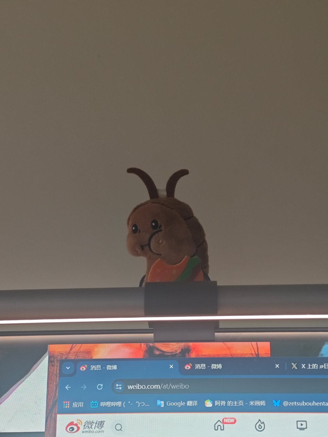 买过最实用最萌的一个随手小盲盒就这么静静趴在我电脑之上啊哈哈 
