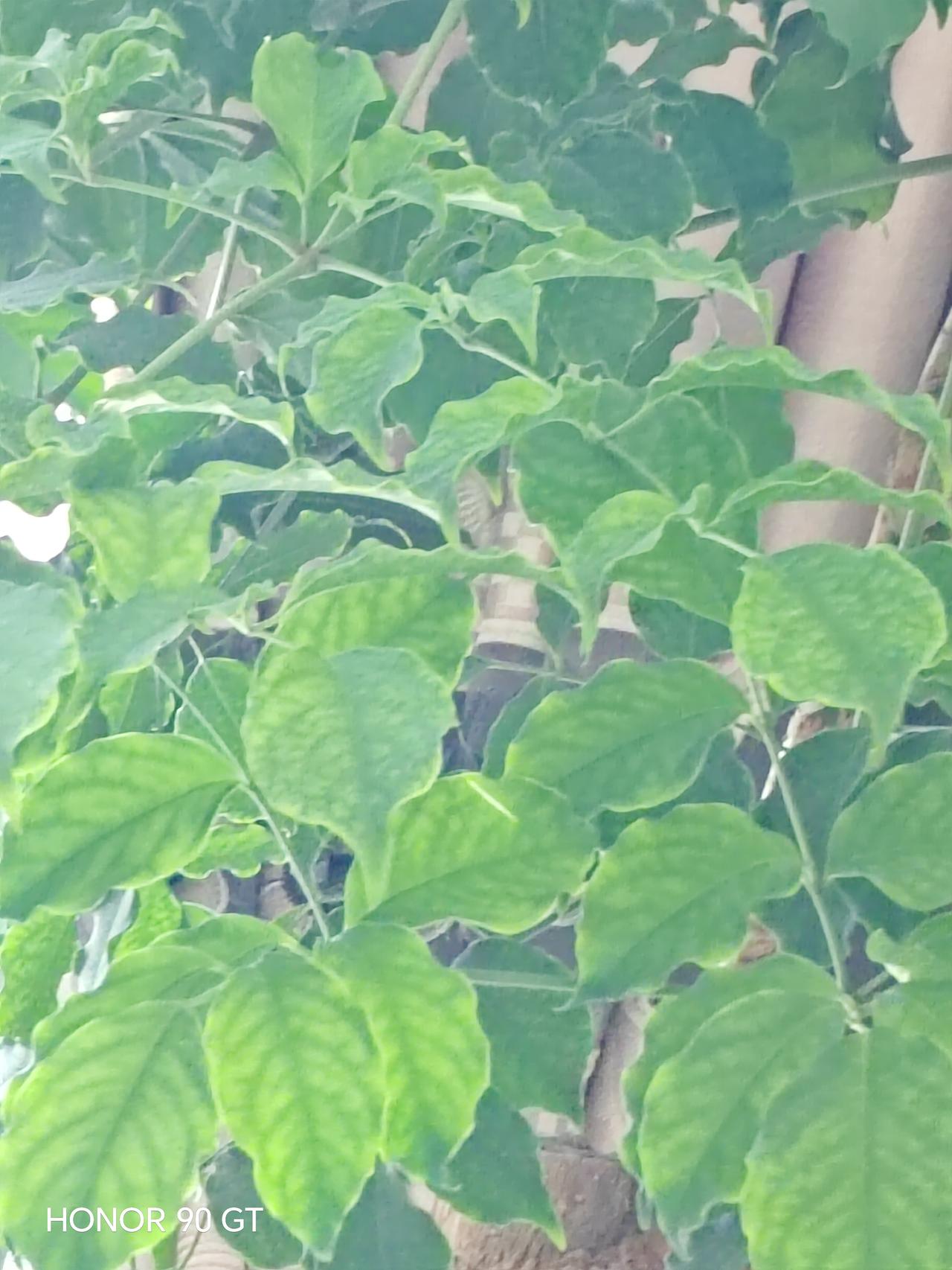 春天花会开，
快乐每一天。