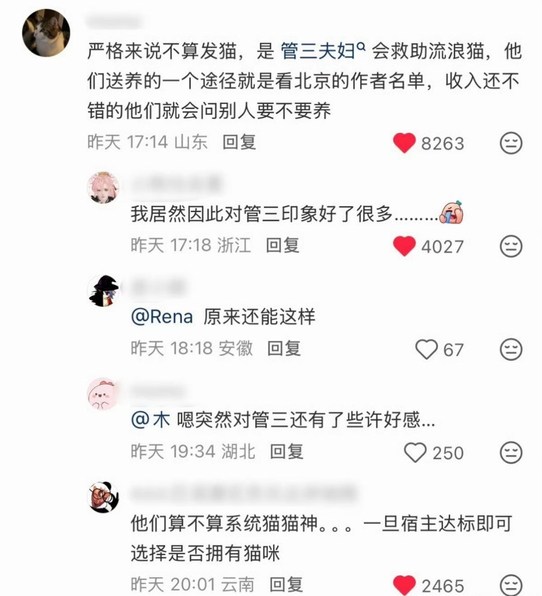 在晋江写文，送猫 