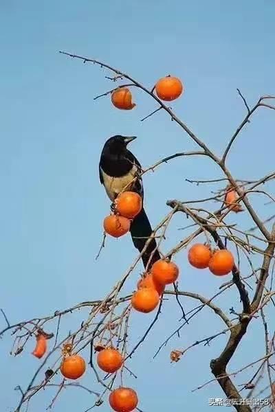 喜从天降！！！