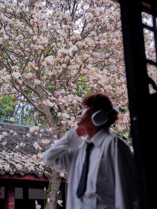 春天开幕式｜和古寺的玉兰交换春天🌿
