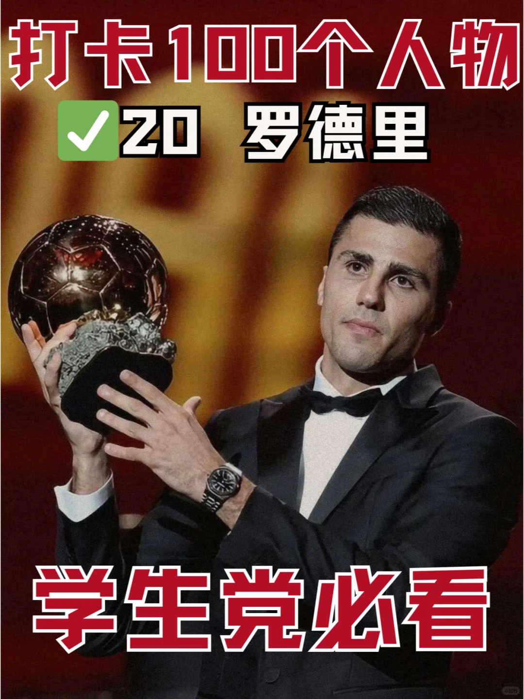 🏆 人物素材｜2024年金球奖得主罗德里