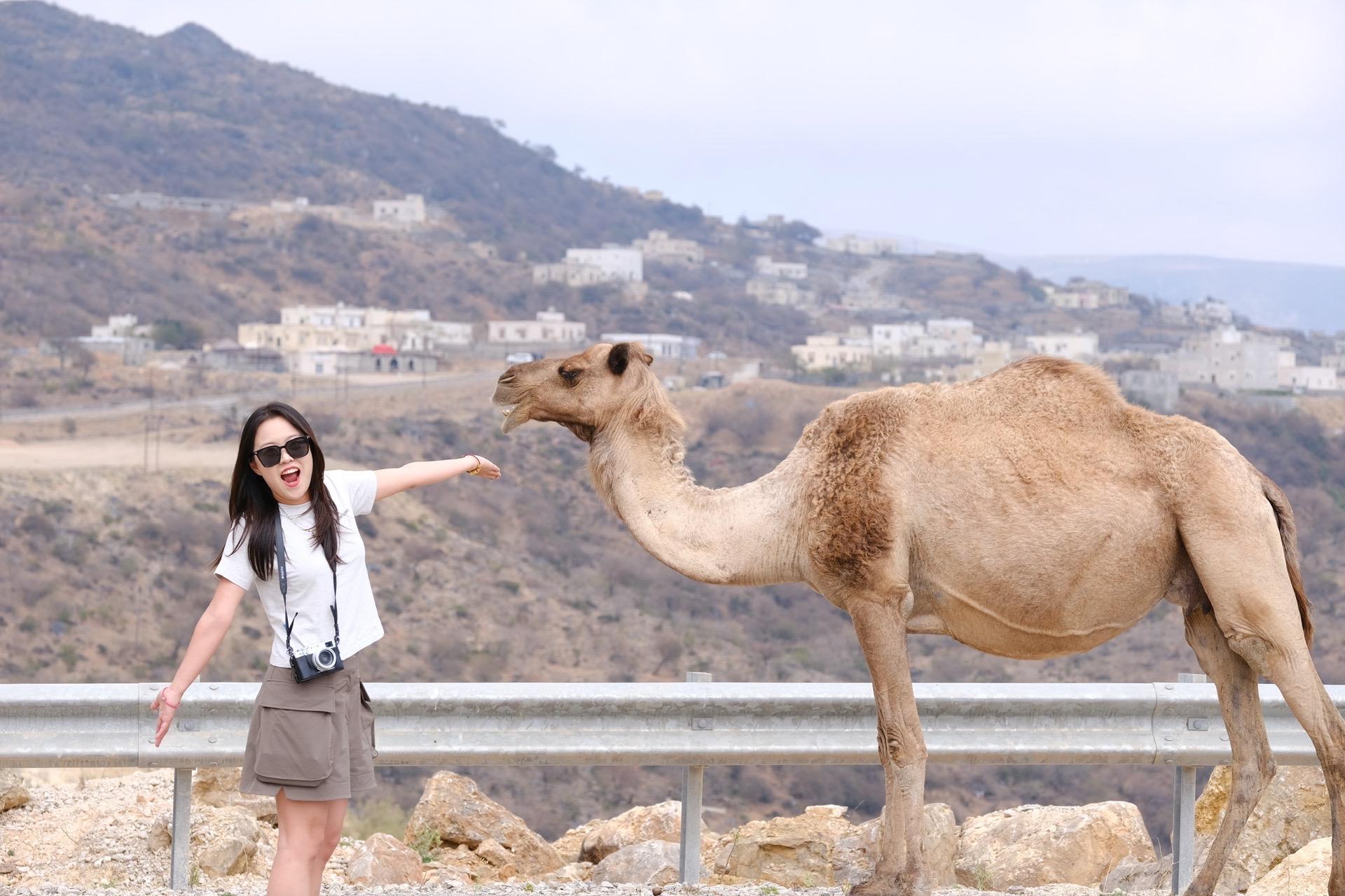 来阿曼了，一半骆驼一半海。 从阿曼的萨拉莱（Salalah）往也门边境...