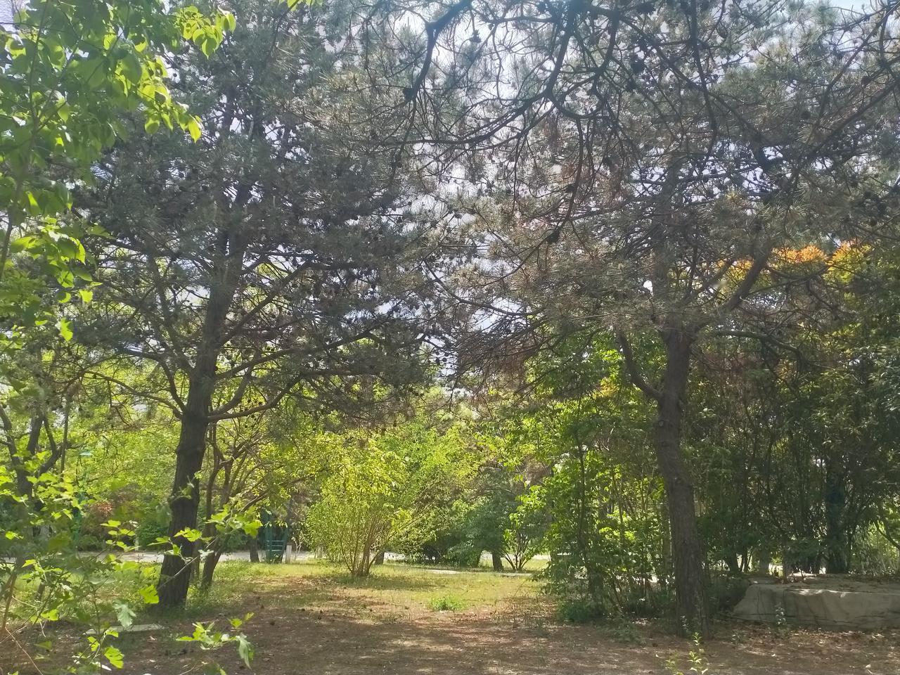 老钱捕鱼精神值得学习💪