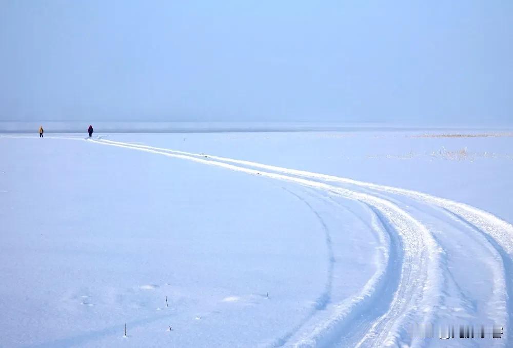 广袤无垠的雪原如同一幅纯净的画卷，铺展在天地之间。洁白的雪地，宁静而祥和，仿佛能