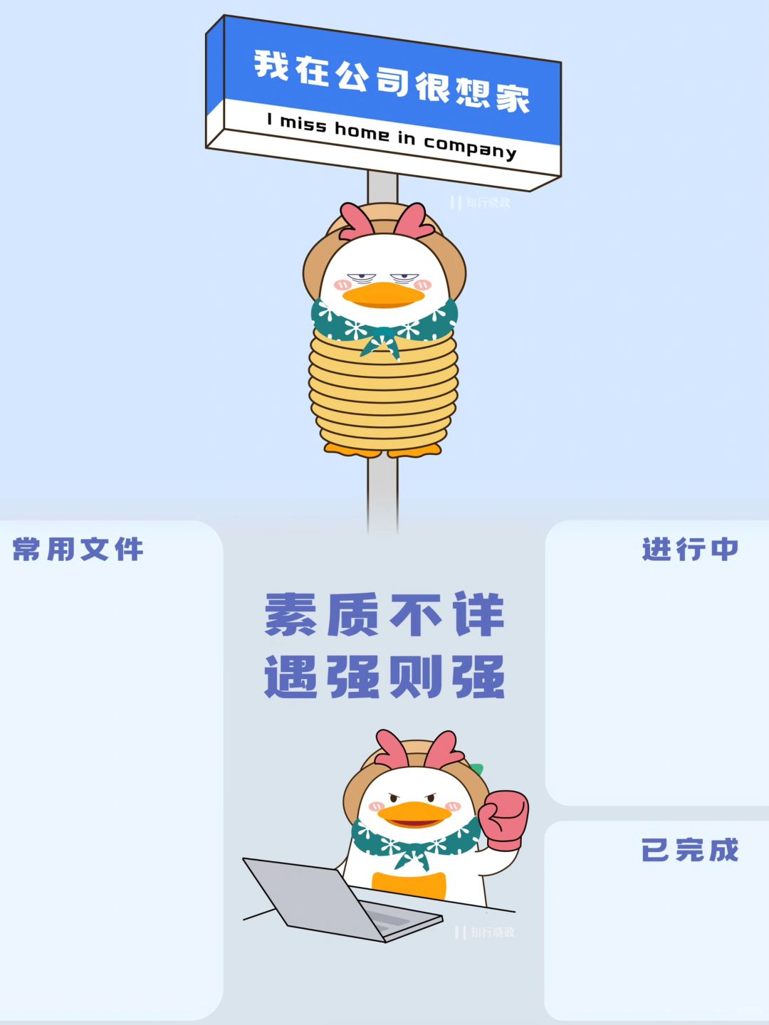 行政壁纸玄学，你别不信