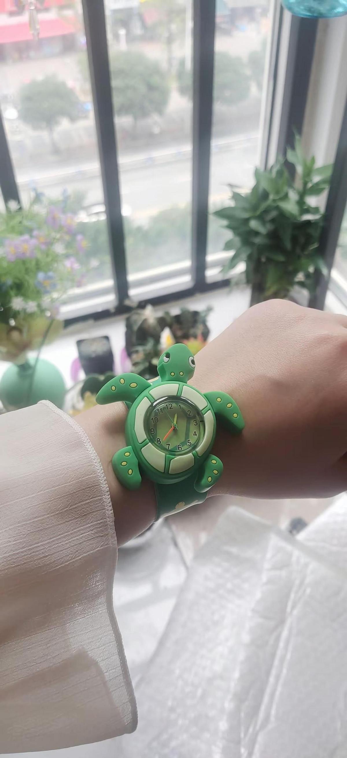 绿水龟不是表，是人手一只的通行证。
劳力士没卖表，卖的是“我混得不错”的无声证明