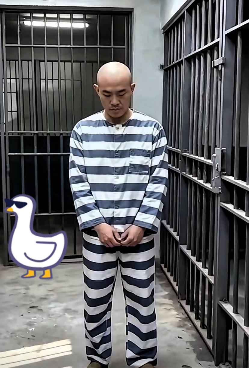 金毛案尘埃落定！
12月4日生命定格，
金家彻底乱套了

12月4号这一天，闹得