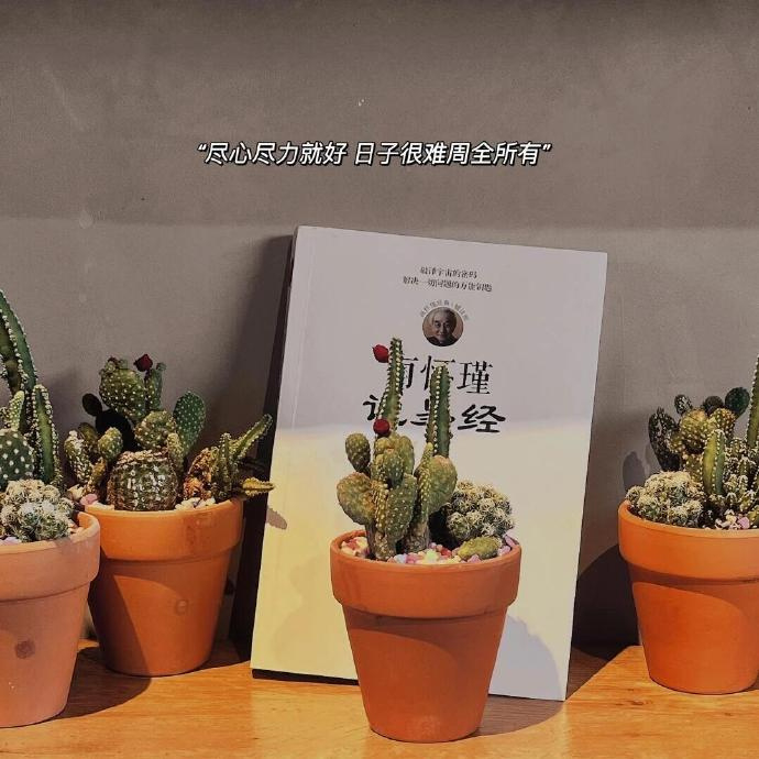 𝖔𝖕𝖊𝖓 𝖋𝖎𝖊𝖑𝖉 🍂“ 少研究别人，多塑造自己。” 