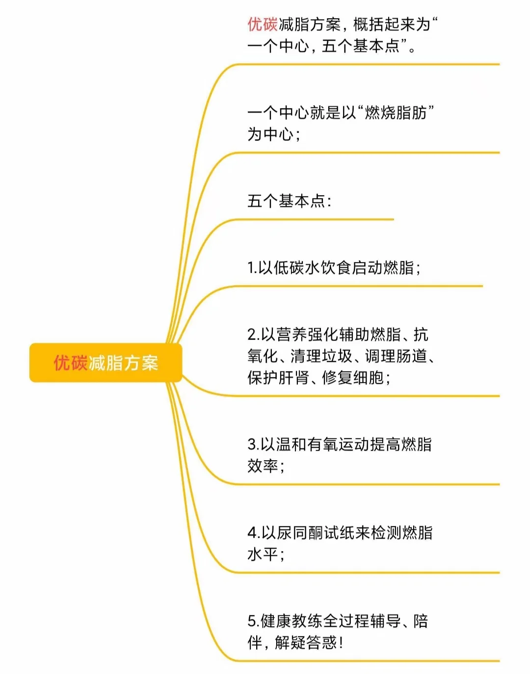 的减肥风气令人毛骨悚然