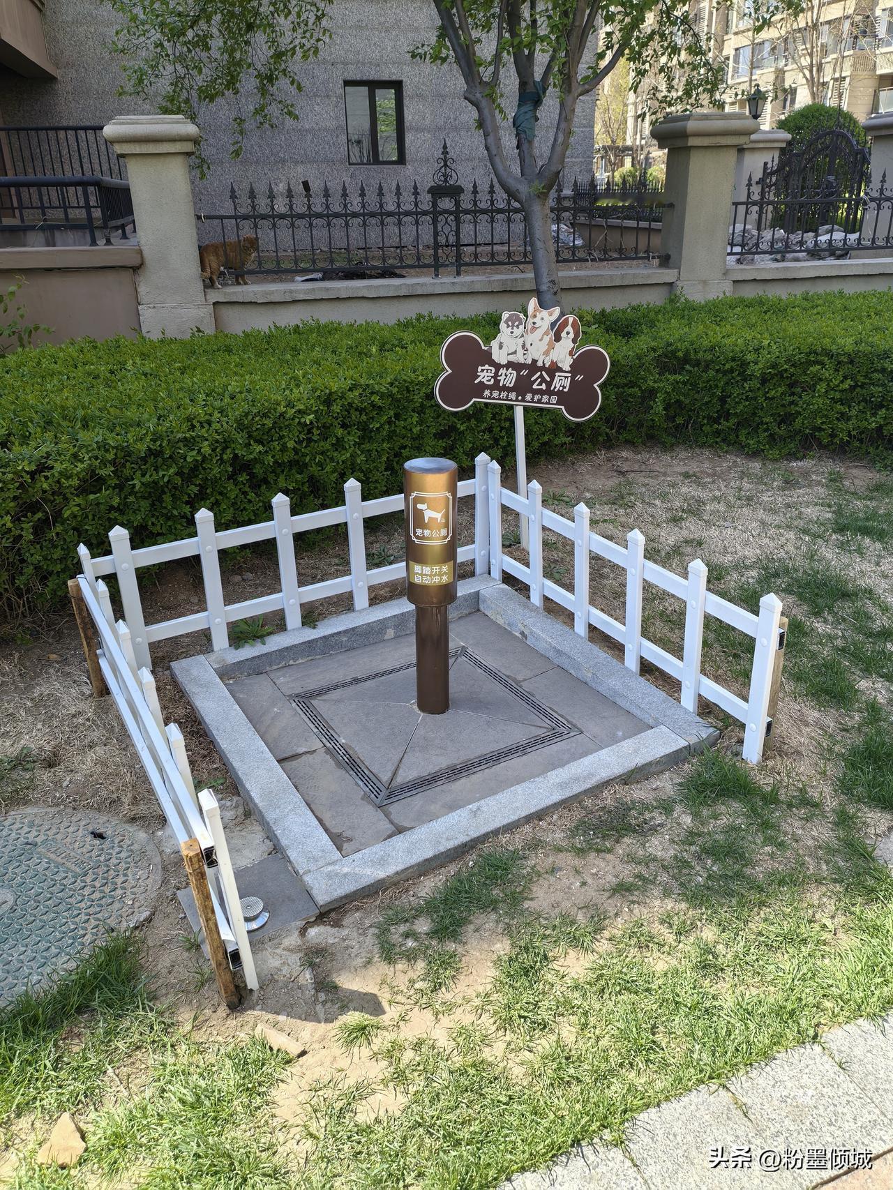 这是我们小区里的宠物公厕
自从我有了这个
随地大小便的小宠物们减少了
主人们也愿