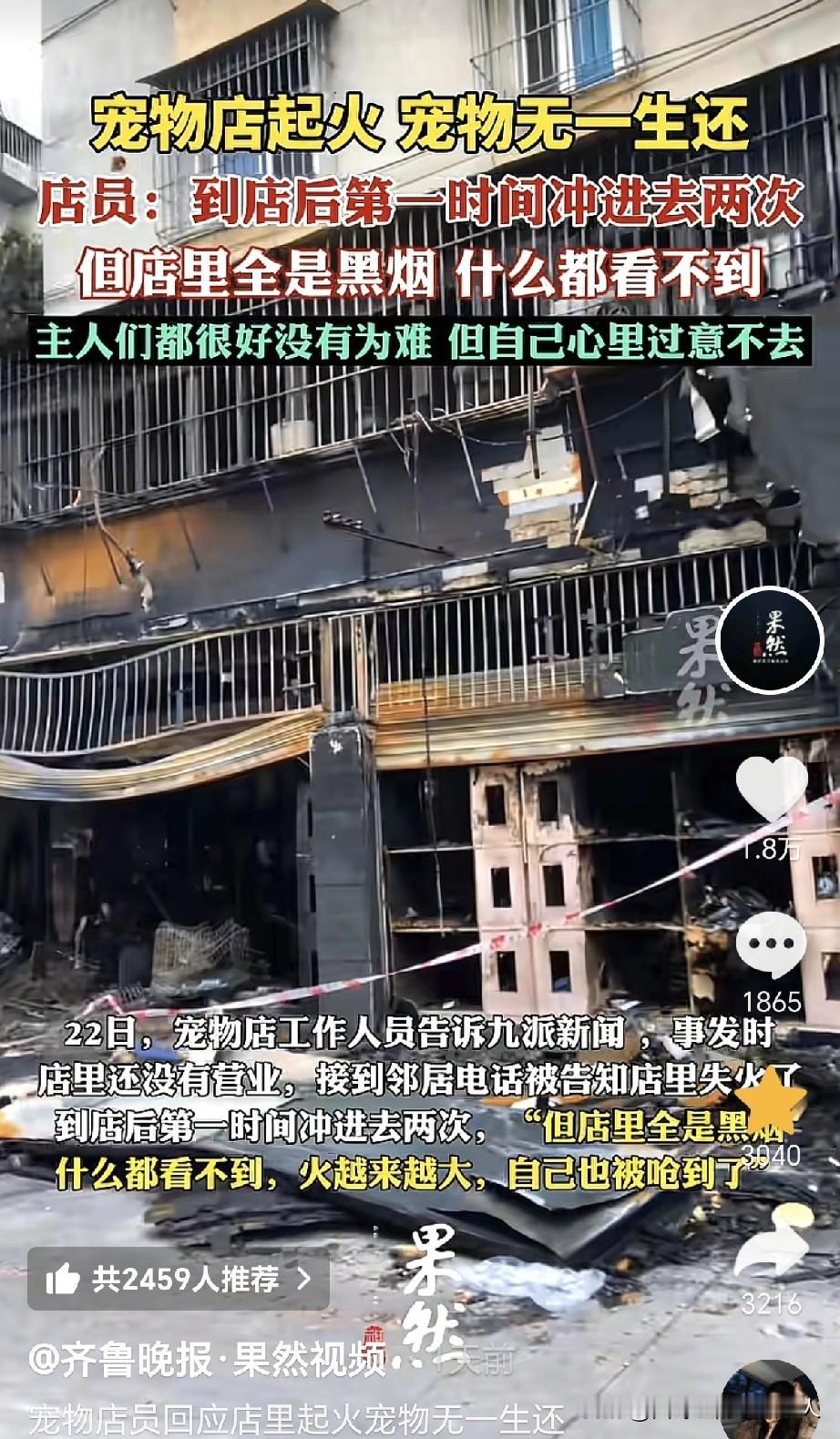 10月20号，广东一宠物店发生火灾，寄养的“猫狗”无一幸免，全部失去了生命！据了