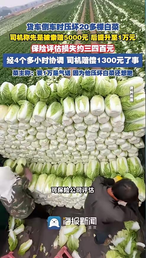 倒车压了20几颗白菜，菜主开口要5000。报警后，直接涨到1万。

保险公司到场