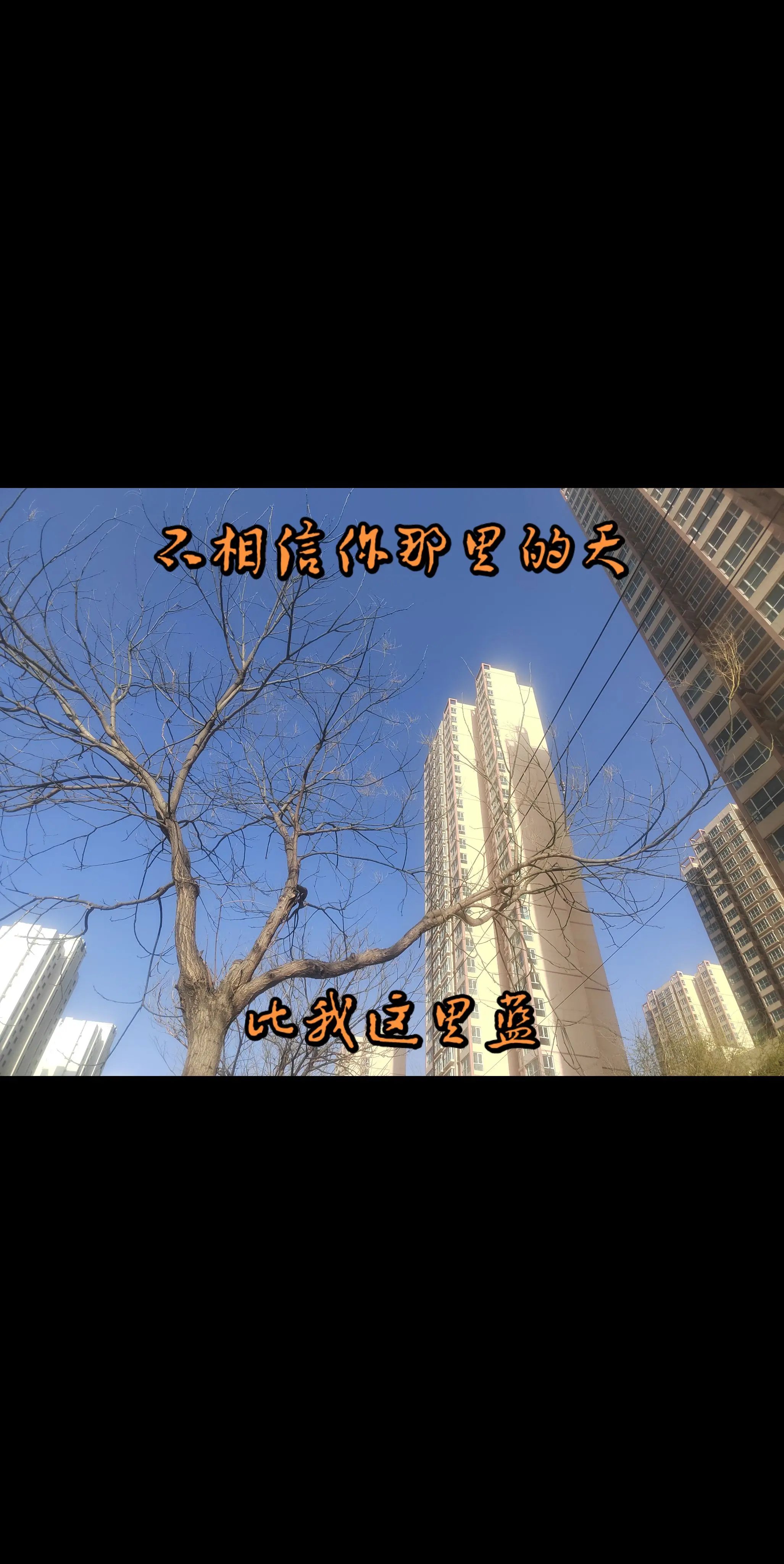 你那里的春天有这么蓝吗？