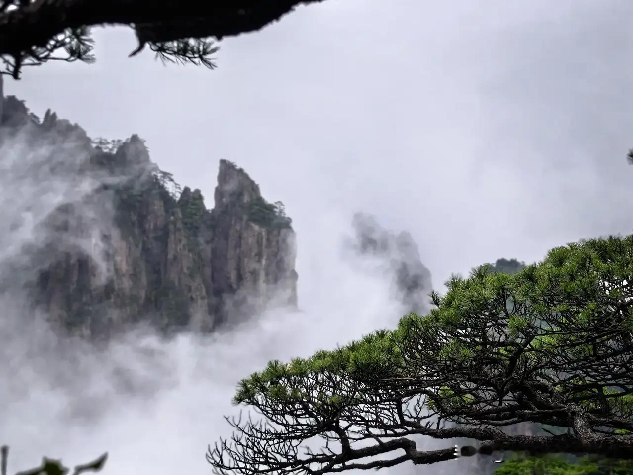 锦言昔日重千金，
岁月消磨已无心。
尘世几多痴念客，
空留遗憾忆知音。