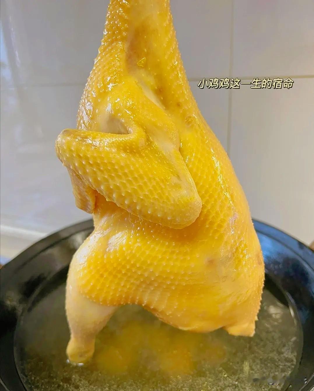 真的不夸张！我丈母娘做的豉油鸡，是我们家待客的压轴硬菜，做了十几年从来没失手过。