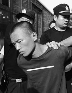 河南杀人抢婴案：17年追凶，正义终得彰显

在河南省商城县的长竹园乡，一起震惊全
