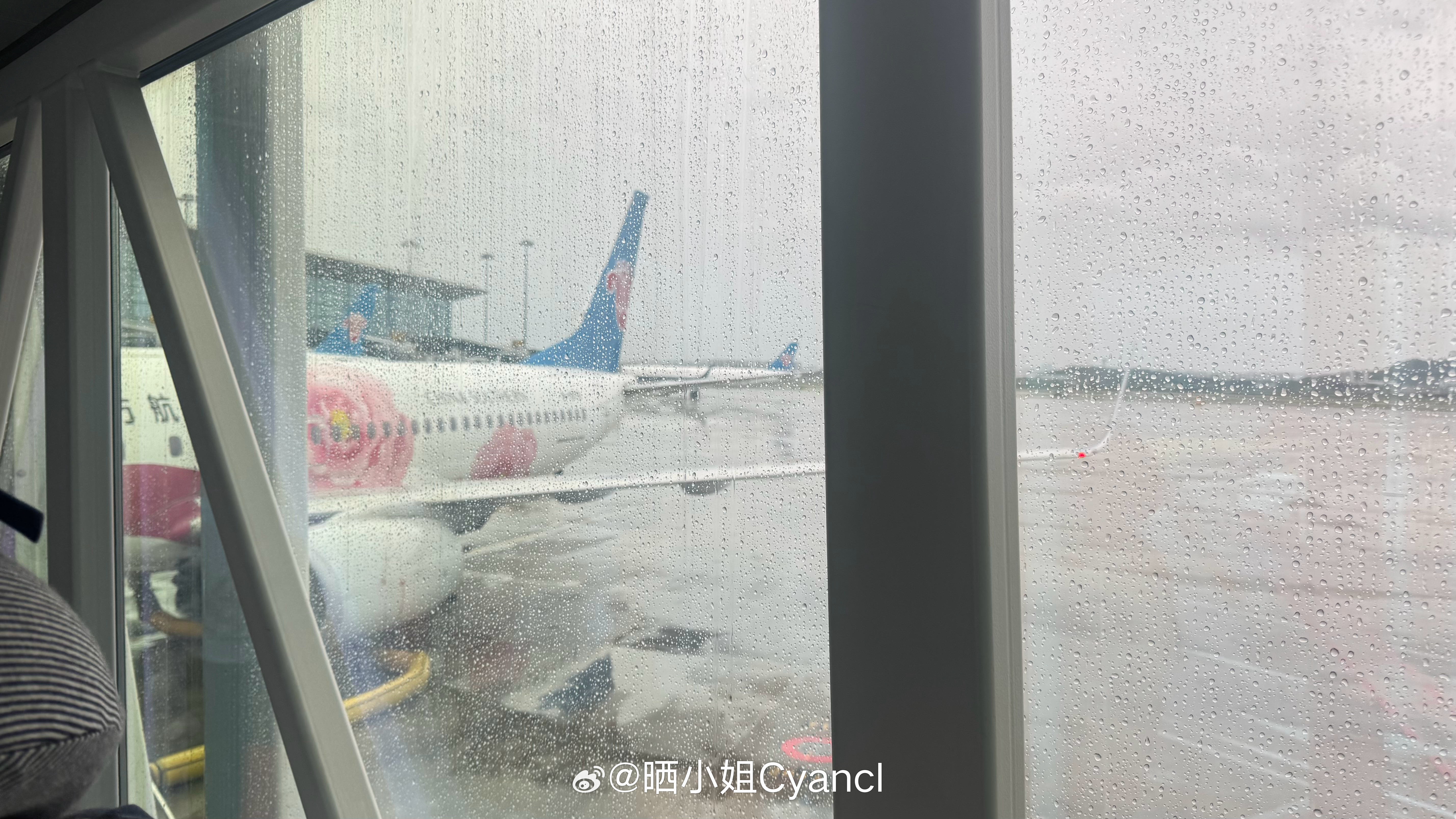 我的45元延误险泡汤了……怎么猜到阿霞（红霞）这样关照我哈哈哈哈估唔到晒女士功底