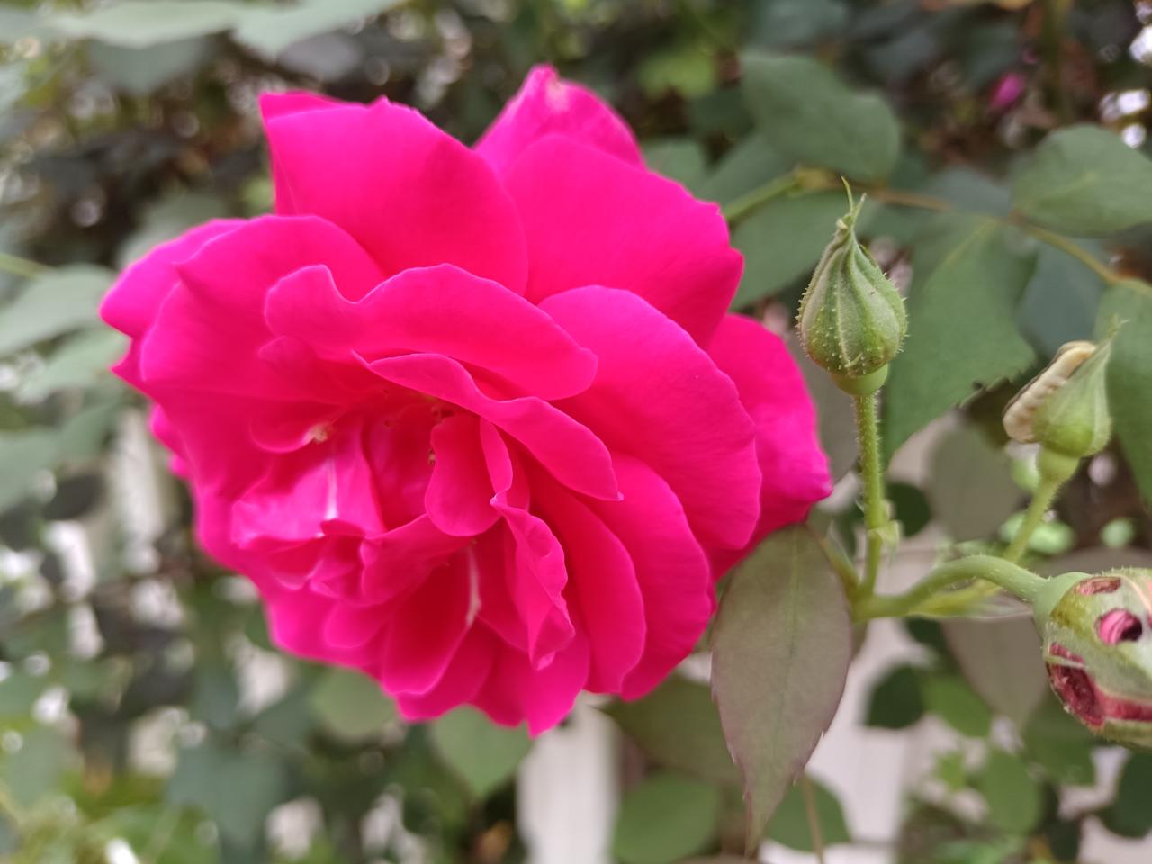 一位横店村的徐老爷，为八面山下带动农民之富。