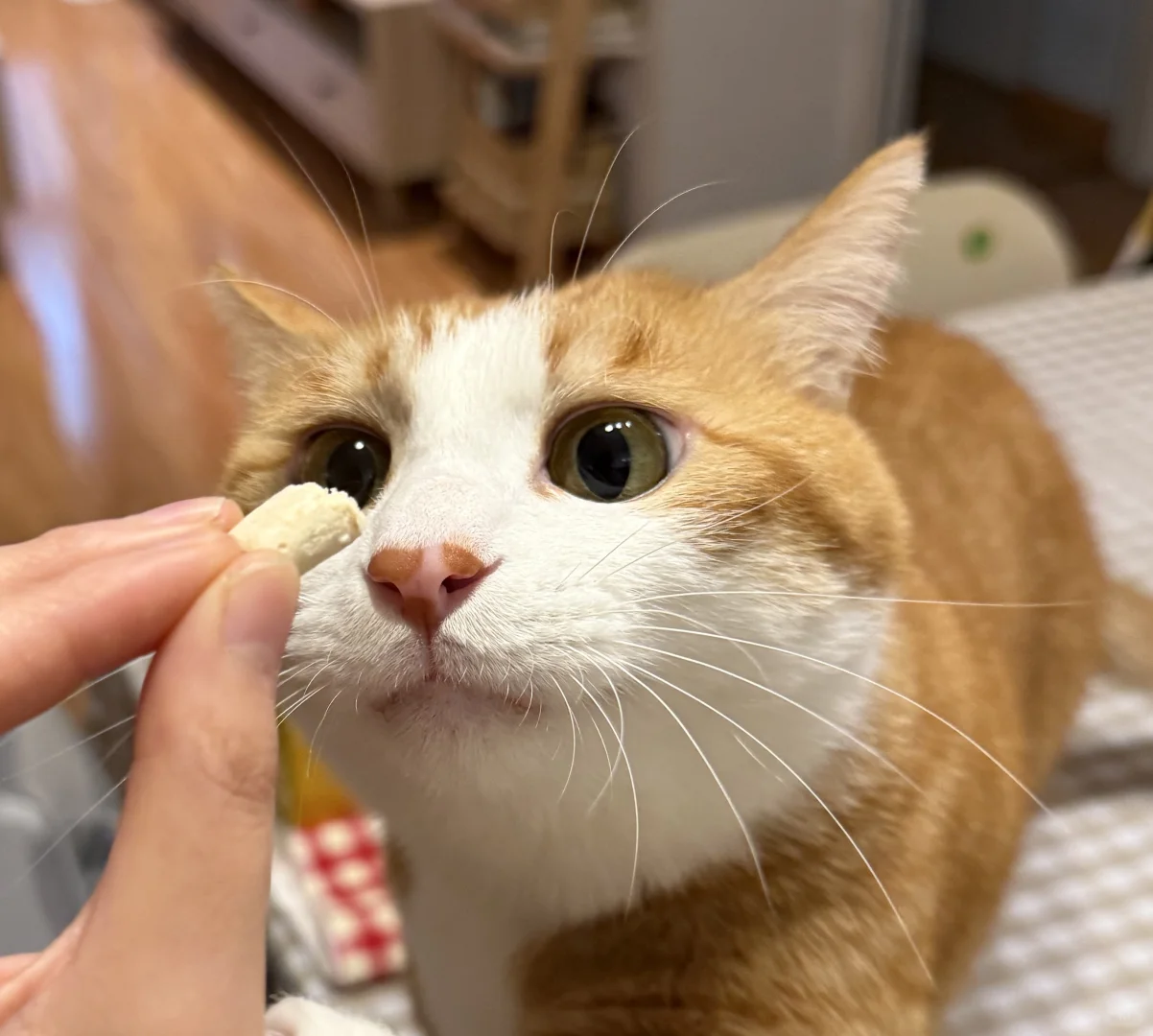 谁懂这份回家的守候