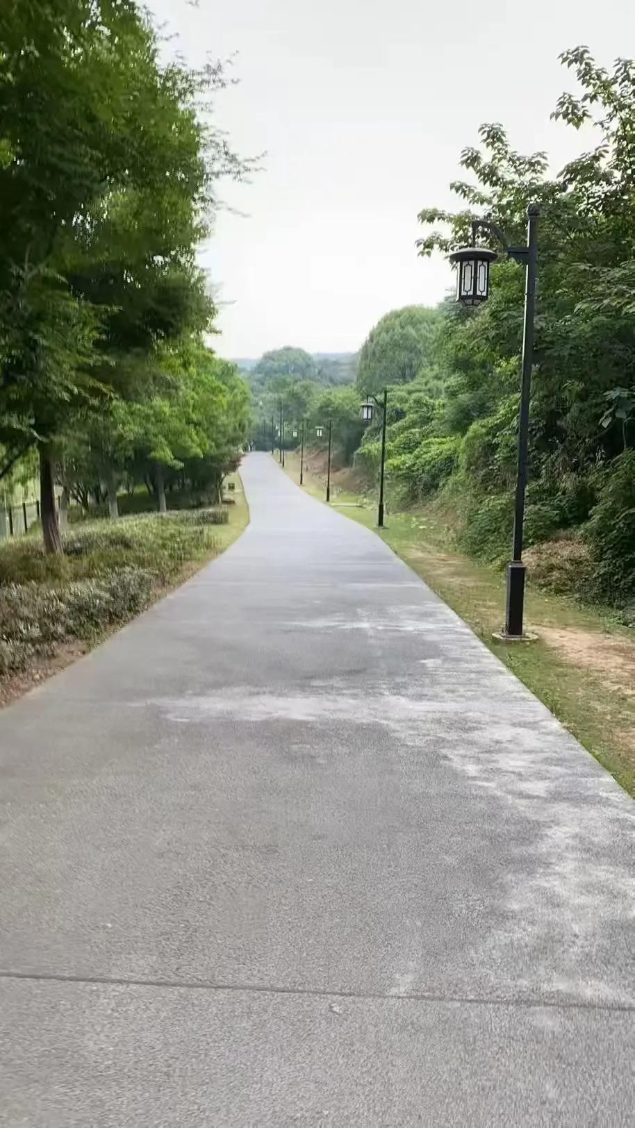 能到山顶的道路有很多
但一定有一条必经之路
而绝大多数人倒在半山腰
就是因为觉得