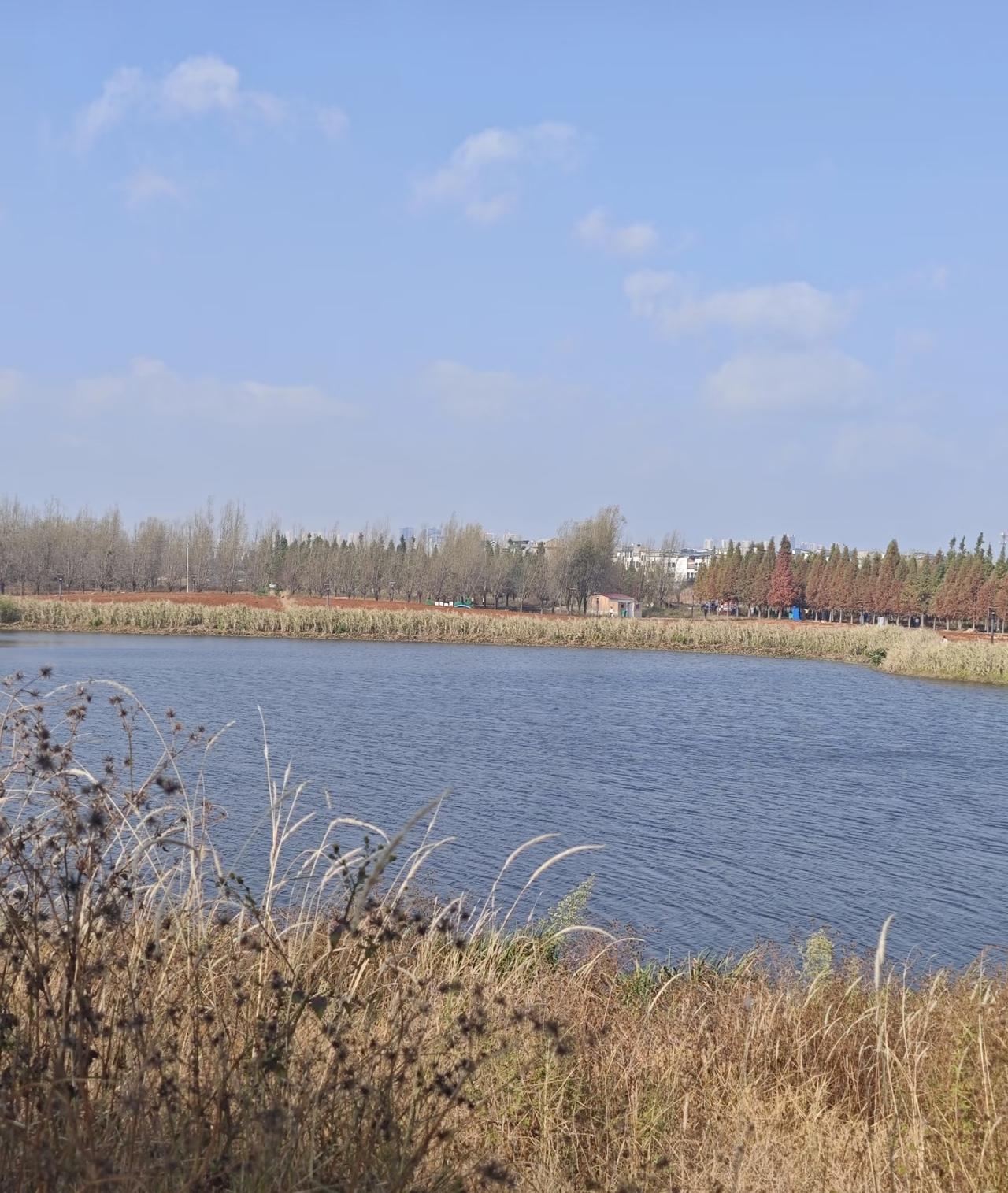 余额宝存钱有风险吗？真相不是“零风险”，但普通人完全不用慌
 
身边不管是年轻人