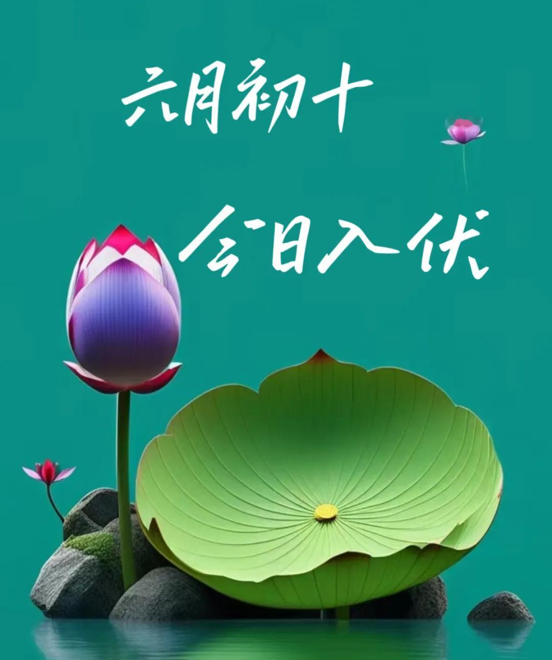 女人到了一定年纪
就开始注重养生
保养自己的身体
俗话说的好
冬有三九夏有三伏
