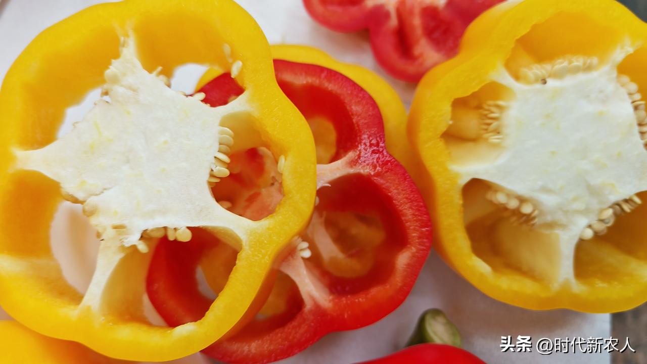 秋日生活打卡季崇礼彩椒大会。