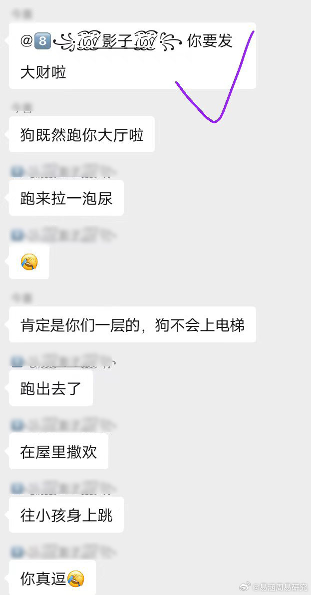 网友分享，狗来富，猫来财。狗来富流浪小动物关爱小动物关爱流浪小动物