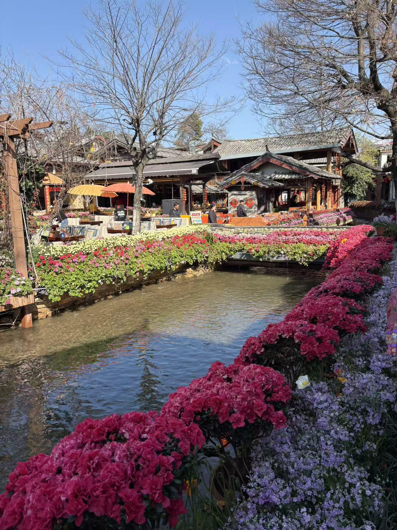 晒图笔记大赛好美的小桥流水，鲜花盛开