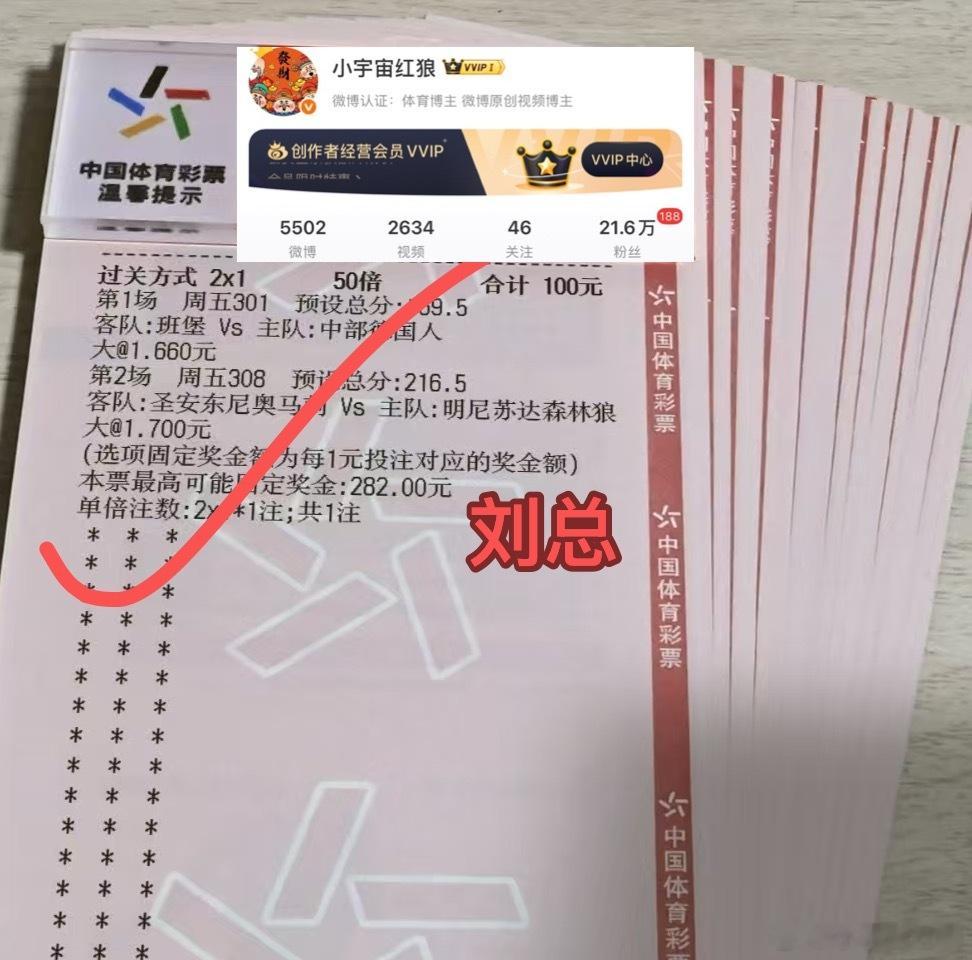 篮球还得是刘总牛逼