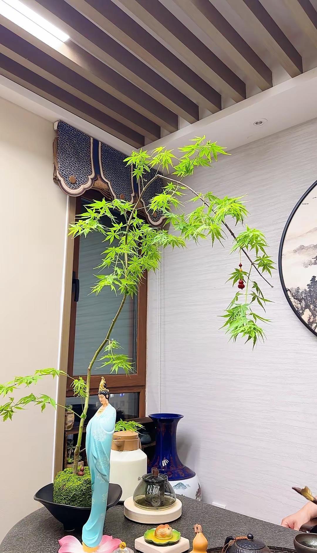 🪁 Nice day ✂️!!🪴 只想把自己养的越来越快乐 平静，其它的 都