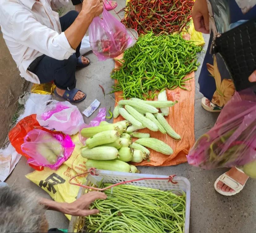 你被他们套路过吗我今天去买菜，
看着是私人自己种的菜，觉着新鲜，就想买点买了一个