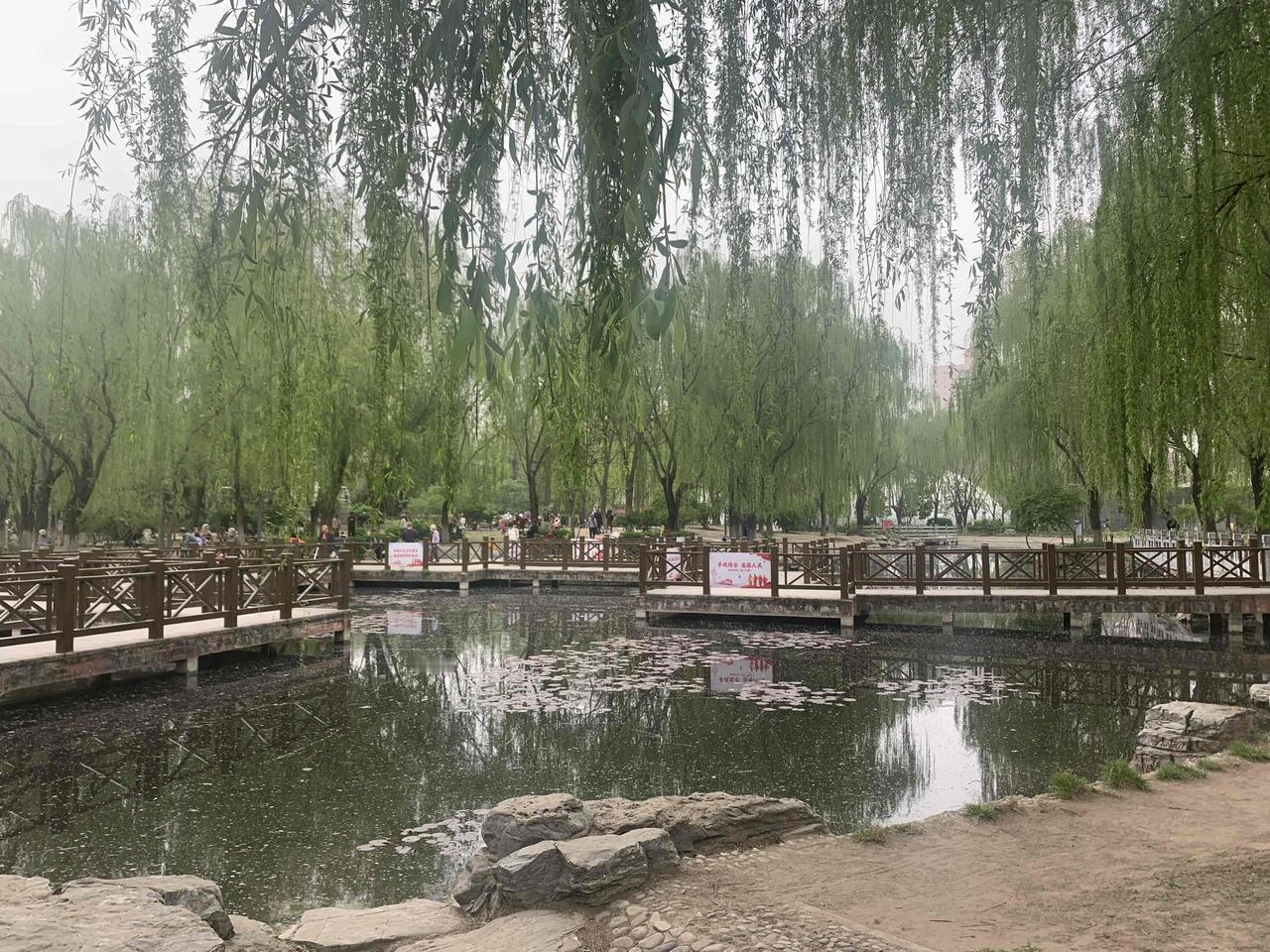 最近工作不忙，在家呆着没事干，就去家附近几个公园转转。里面基本都是退休的老头老太