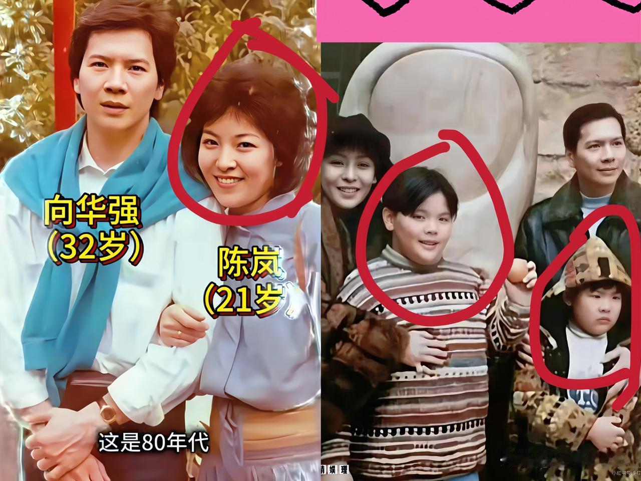 向太一家子
破没破产不知道
但是有件事确定无疑，那就是，向太那优秀基因，好像没在