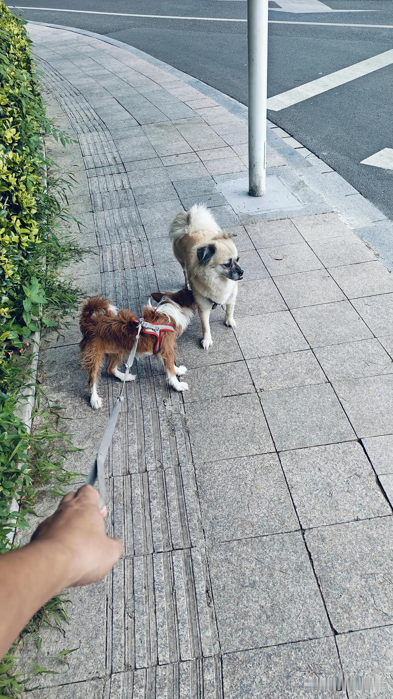 有没有像我一样，从来没有玩过cs，和平精英，地下城与勇士，王者荣耀……

为了一