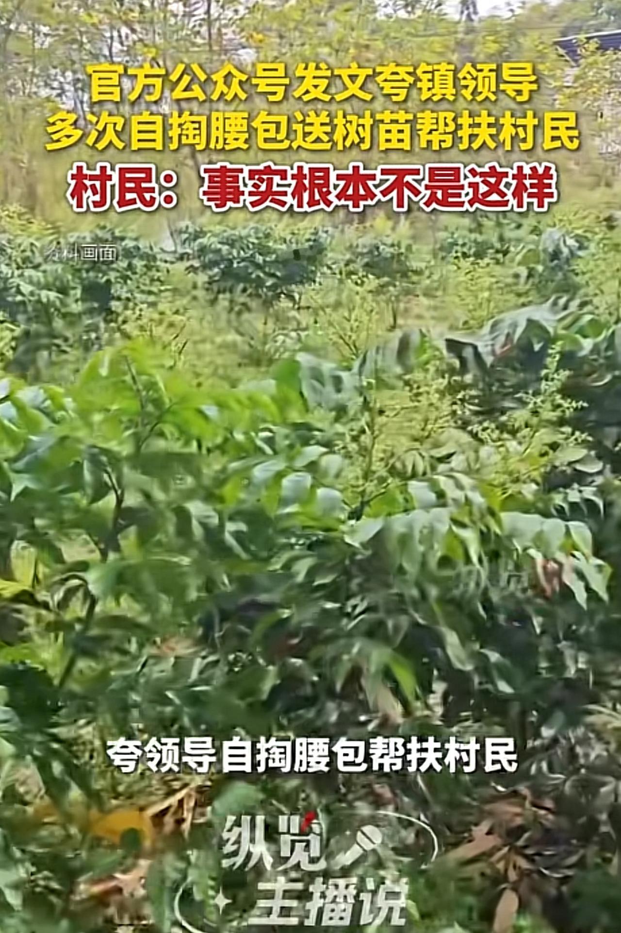 海南，一村民看到当地公众号发布的一篇文章，称当地镇领导多次自掏腰包买黄皮苗和沉香