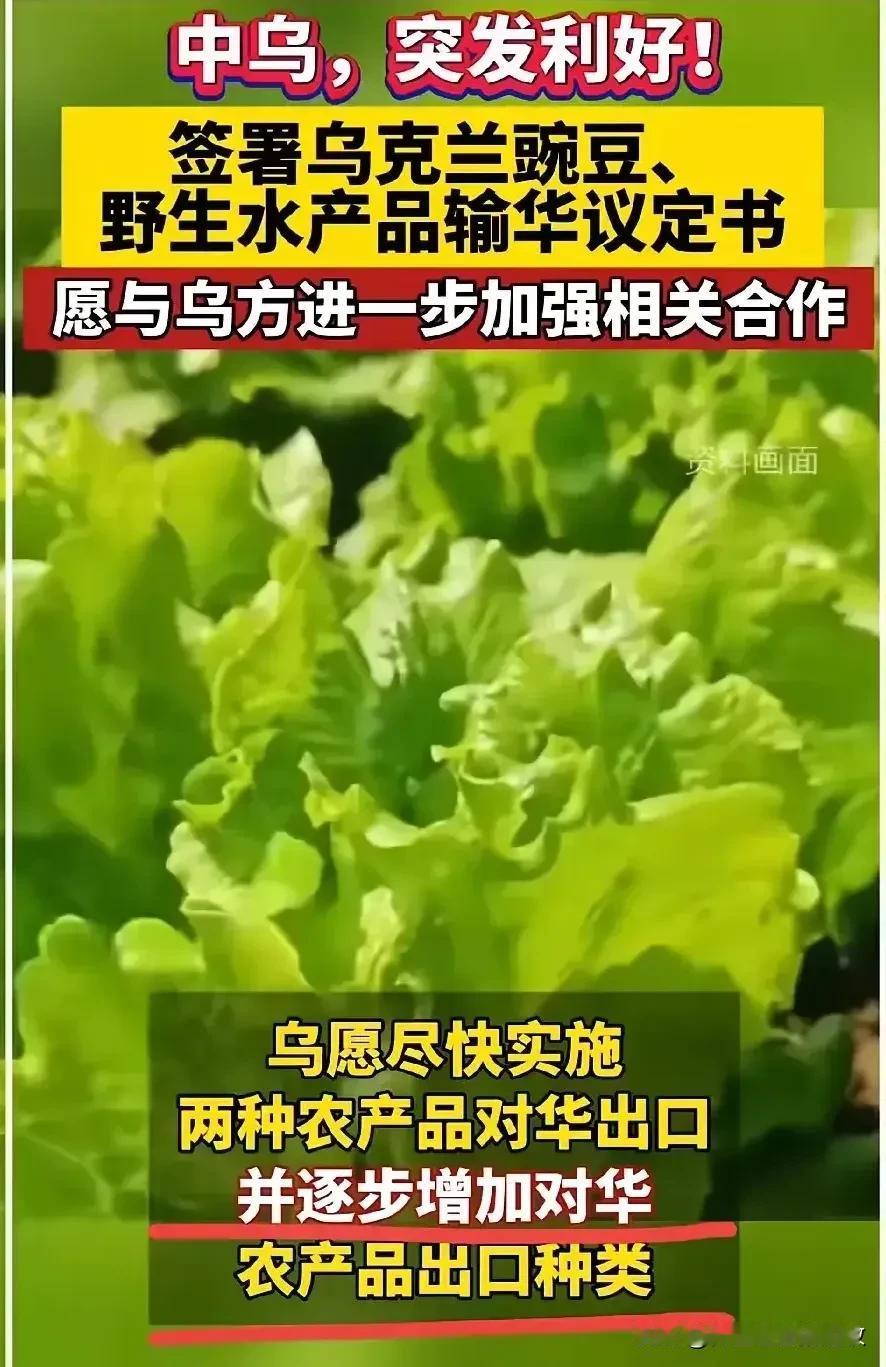 最近我们和乌克兰签署了一项协议，允许乌方向中国出口豌豆和野生水产品，别看这一协议