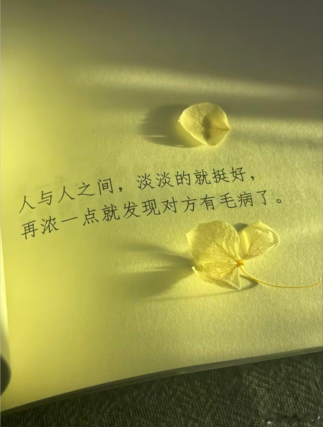 君子之交淡如水 