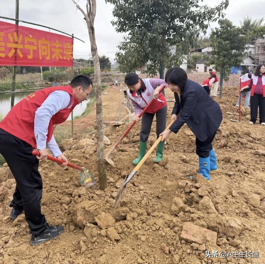 新年生活图鉴新春气温回升，降雨频频，干部群众种树绿化忙！