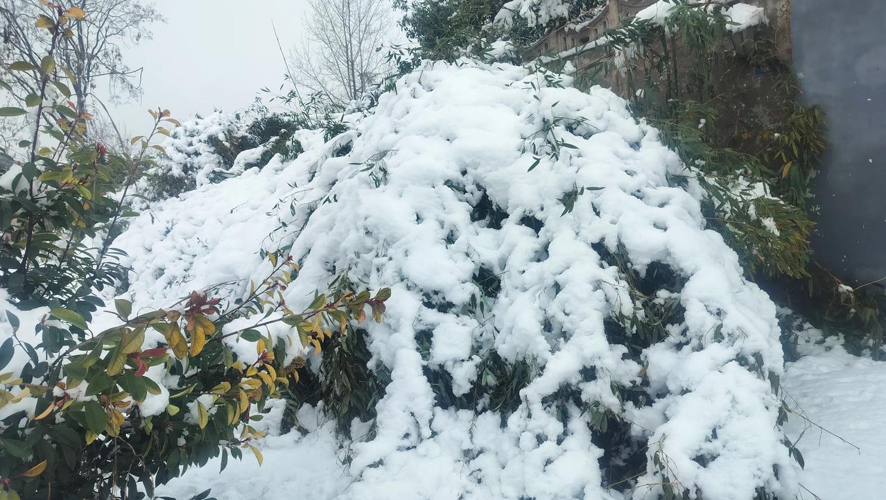 当你们看到这副图片的时候想到了什么?是不是像个覆盖了大雪的土丘，其实它不是土丘，