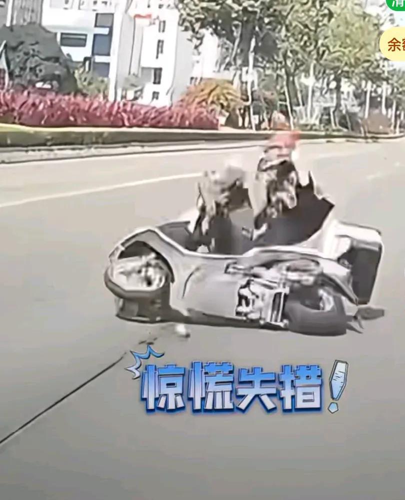 转弯电动车跟直行电动车相撞，双双摔倒，身后汽车说，太无语了，
大爷以为我撞的呢！