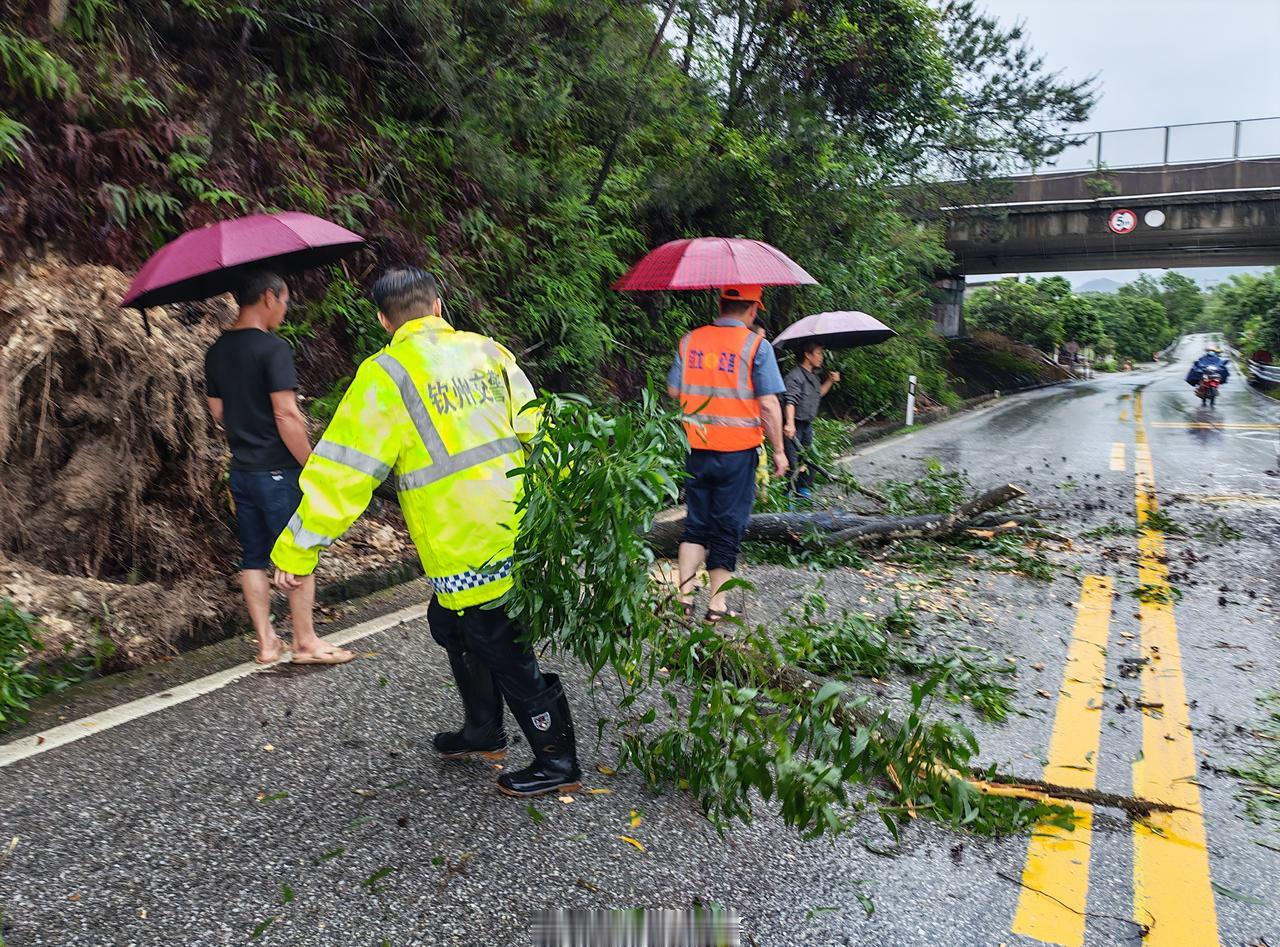 5月21日暴雨来袭，狂风刮断行道树木，横阻路面影响通行。钦州市公安局交管支队钦北
