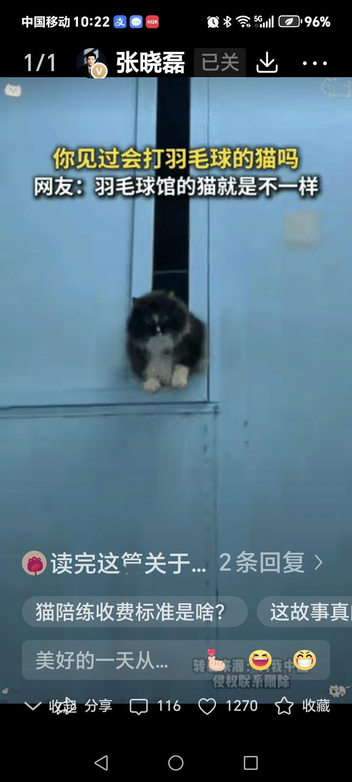 “科学没法解释”山东淄博icon，羽毛球馆的老板收养了四五只流浪猫，结果其中一只