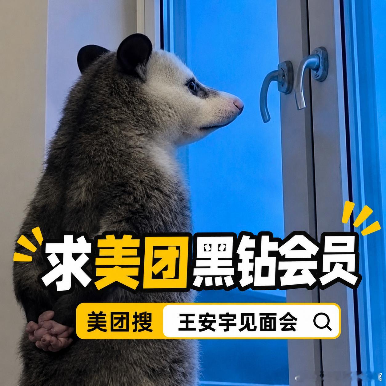 有没有美团黑钻会员姐妹愿意互助🥺本人会做饭圈数据图、修live图求帮忙上美团搜