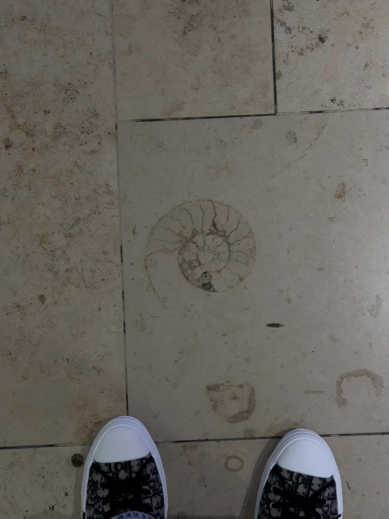 德基的地砖果然是化石铺的！ 打卡了千万厕所和化石地砖，喝了阿嬷手作吃了...