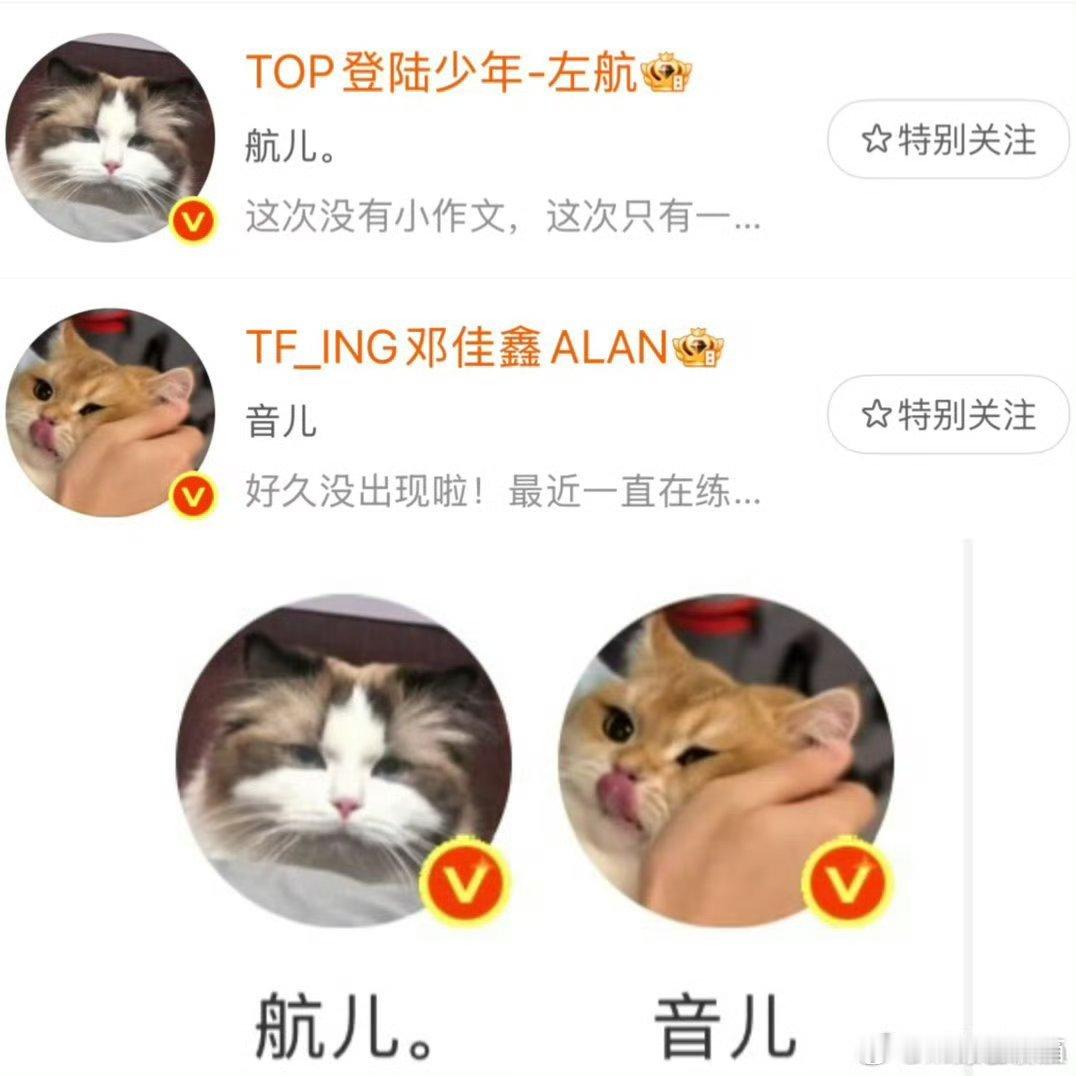 左邓 情头左邓风味来了 哈哈哈哈哈 