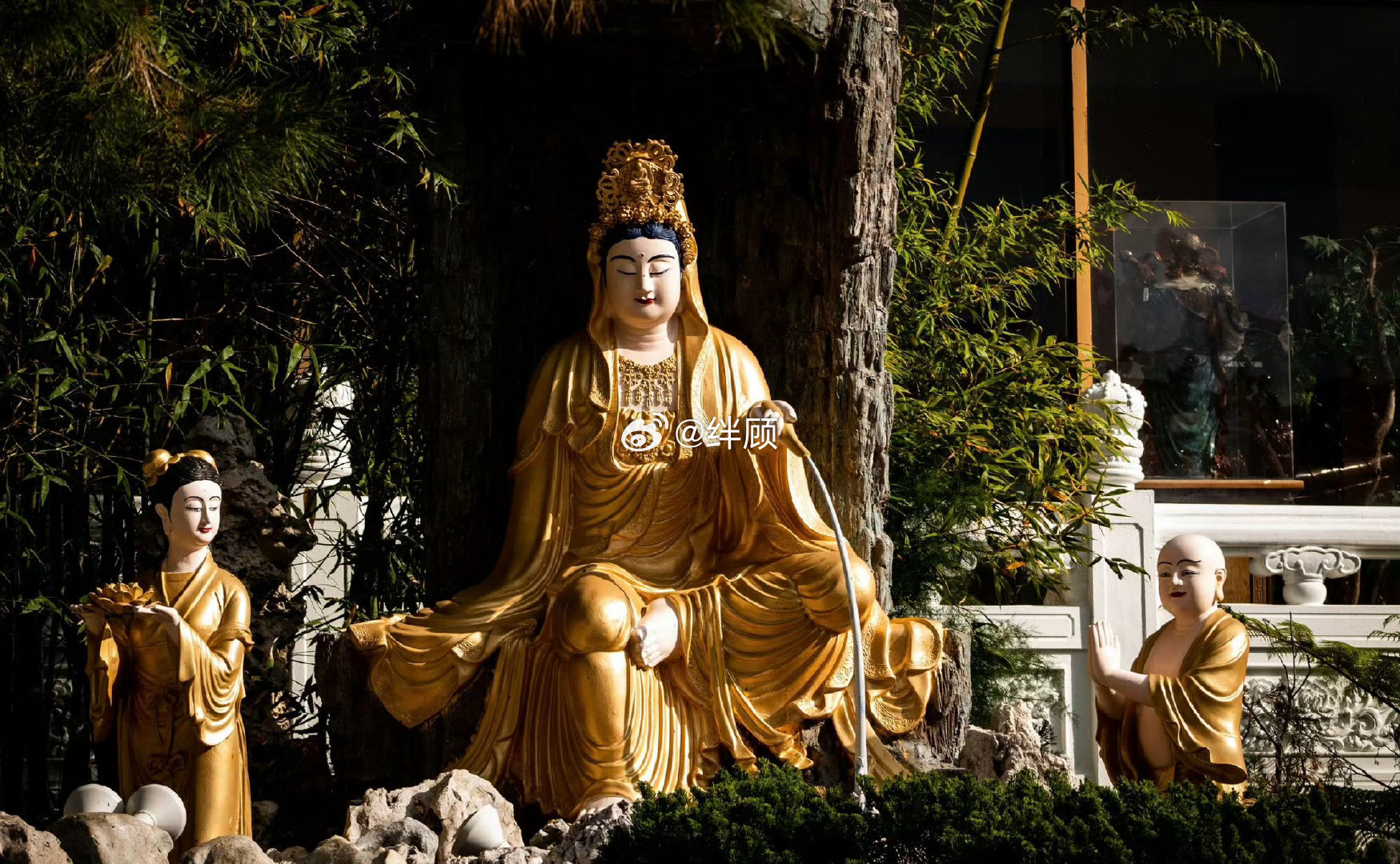 别焦虑 结果很好🙏🙏🙏 